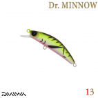 DR. MINNOW 5FS 13