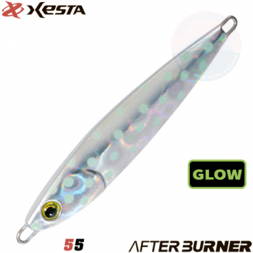 Xesta After Burner 30 g 55