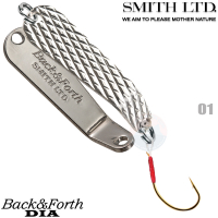 Smith Back&Forth Diamond 4 g 01 SILVER