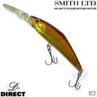 Smith D-Direct 02 ACACIA