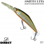 Smith D-Direct 07 TS LASER