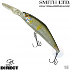 Smith D-Direct 14 AYU
