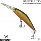 Smith D-Direct 24 G AYU