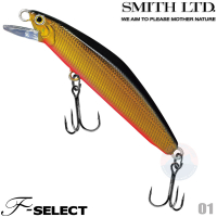 Smith F-select 51 01 CLOQUIN