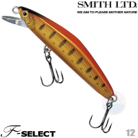 Smith F-select 51 12 ORANGE FOIL