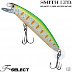 Smith F-select 51 13 LIME CHART LASER