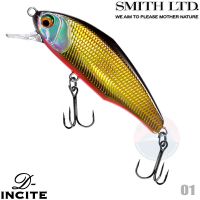 Smith D-Incite 44S 01 CLOKIN