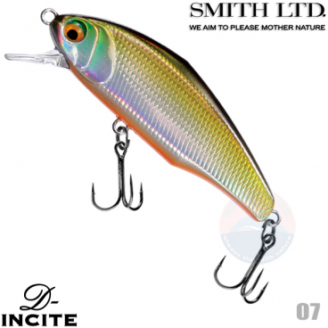 Smith D-Incite 44S 07 TS LASER