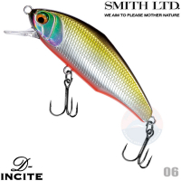 Smith D-Icite 53S 06 TS FOIL