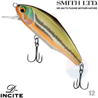 Smith D-Icite 44S 12 UGUI