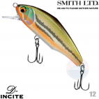 Smith D-Incite 44S 12 UGUI