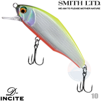 Smith D-Incite 53S 10 CHART FOIL