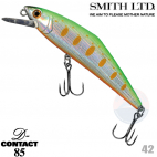 Smith D-Contact 85 42 LIME CHART YAMAME