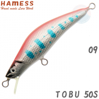 HAMESS Tobu 50S 09 Sekitou Yamame