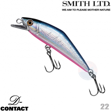 Smith D-Contact 72 22 BLUE PINK