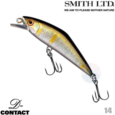 Smith D-Contact 72 14 AYU