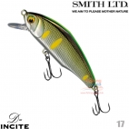 Smith D-Incite 44S 17