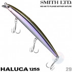 Smith Haluca 125S 29 JN SHALLOW BAY