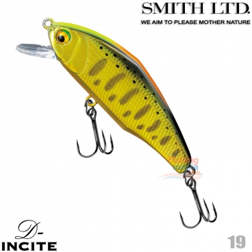 Smith D-Icite 44S 19 CG INDICATOR